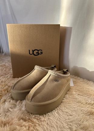 Уггі ugg tazz новий колір