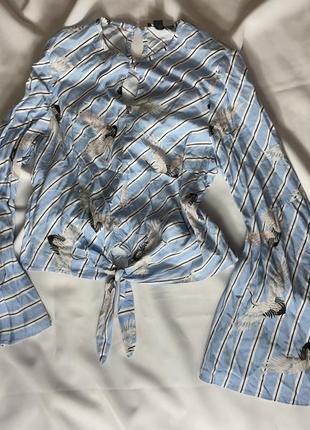 Хлопковая блуза, размер s-m3 фото