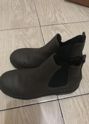 Челсі primark