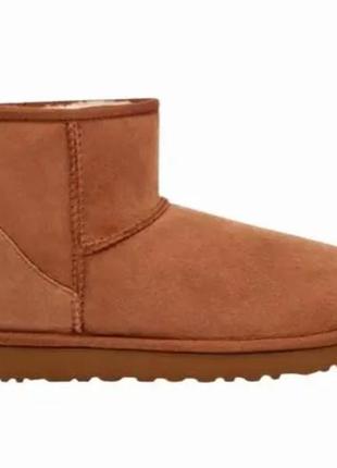 Ботинки женские ugg classic clear mini оригинал1 фото