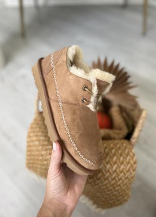 Короткие угги ugg australia ржи 39;401 фото