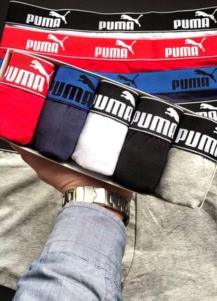 Мужские трусы puma