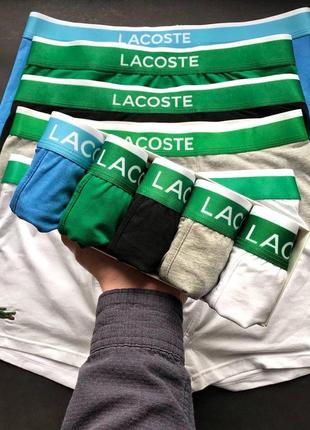 Чоловічі труси lacoste5 фото