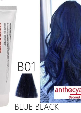 Краска для волос anthocyanin blue black/ антоцианин сине-чёрный (b01)