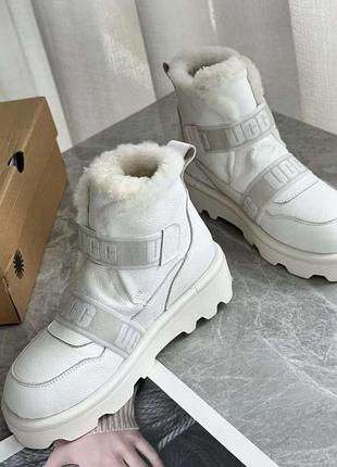 Угги ugg уггі 3