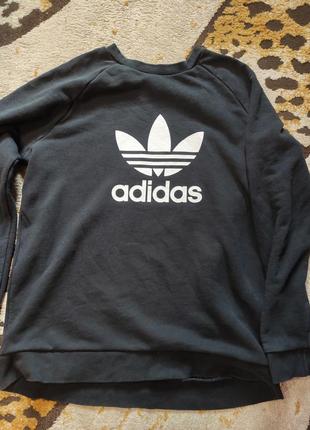 Світшот adidas