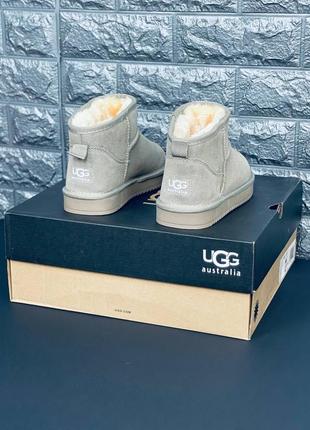 Угг ультранизькі світло коричневі натуральний замш  жіночі ugg australia класичні стильні угг, хіт!1 фото