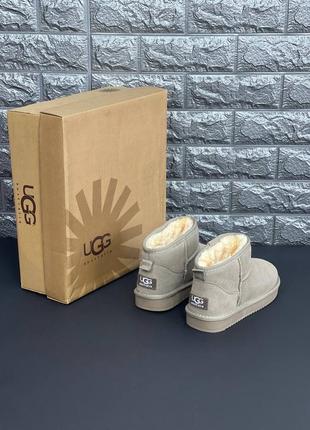 Угг женские ugg australia ультрамини свет серые классические угг натуральный замш угги мини