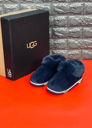 Тапочки угг ugg australia женские синие тапочки зимние универсальные, новинка!7 фото