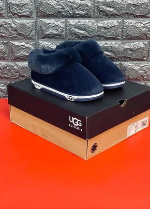 Тапочки угг ugg australia женские синие тапочки зимние универсальные, новинка!1 фото