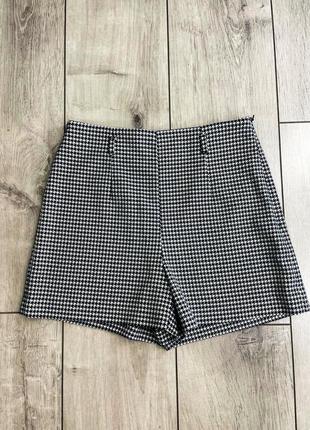 Шортики zara гусиная лапка