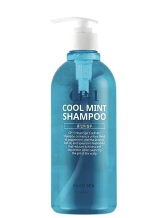 Шампунь заспокійливий для жирного волосся cp-1 daily moisture natural cool mint shampoo натуральний1 фото