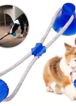 Игрушка для домашних животных, мяч на веревке с присоской3 фото