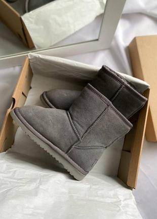 Уггі ugg розпродаж5 фото