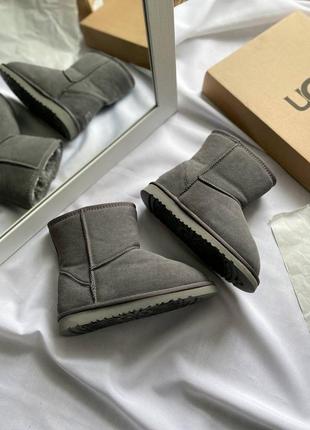 Уггі ugg розпродаж