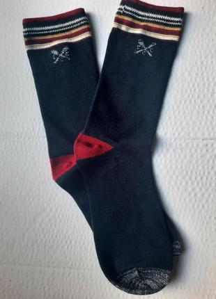 Шкарпетки eur 37-40