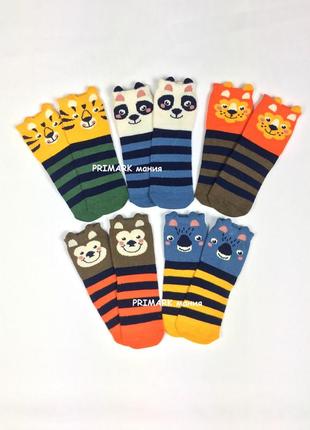 Шкарпетки для хлопчика 19-22  primark