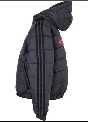 Куртка пуховик adidas originals junior hooded padded jacket2 фото