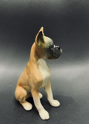 Фарфоровая немецкая статуэтка собака боксер клеймо3 фото