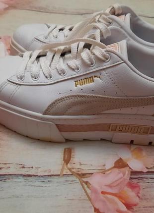 Puma1 фото