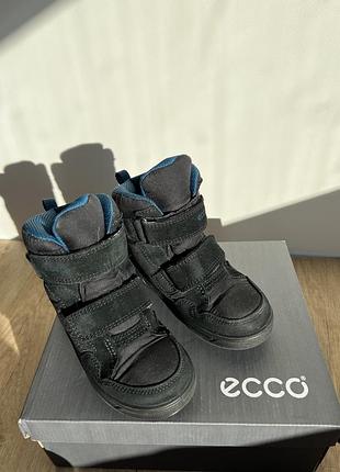 Сапоги ботинки для мальчика ecco зимние