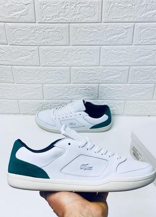 Кеды кроссовки lacoste лакоста кожа 41-45 top качество!4 фото