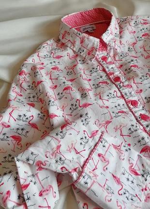 Стильная рубашка из фламинго