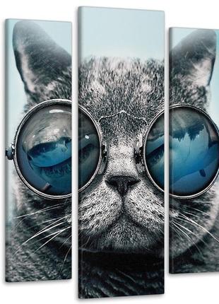 Модульная картина кот в очках art-269_5 ( 80х118см ) с лаковым покрытием