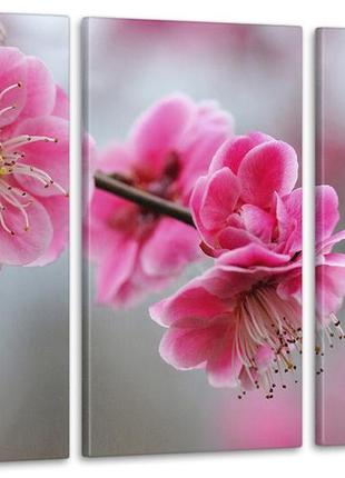 Модульная картина цветы весна  (53x100см)  аrt-229_3а с лаковым покрытием