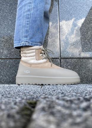 👟 угги  ugg classic mini lace-up beige  / наложка bs👟4 фото