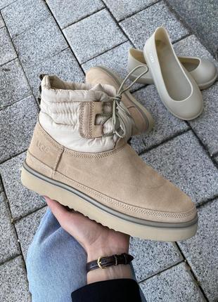 👟 угги  ugg classic mini lace-up beige  / наложка bs👟