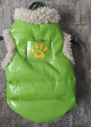 Куртка для собак, жилет,жилетка зимова, курточка собакам5 фото