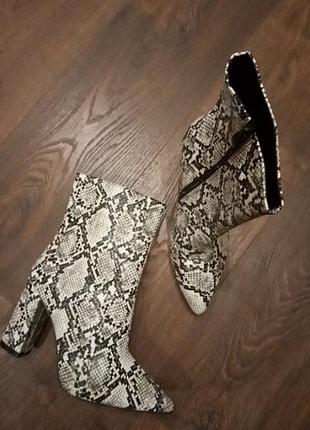 Ботильйони рептилія