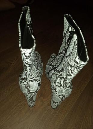 Ботильйони рептилія