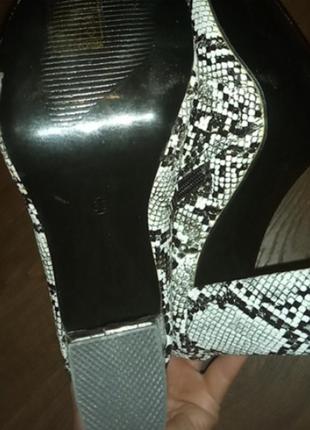 Ботильйони рептилія