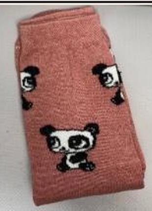 Шкарпетки панда 36-41