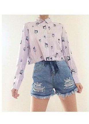 Красивая блузка, рубашка  женская с котами