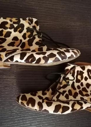 Леопардовые ботинки  zara 39 размер #розвантажуюсь1 фото