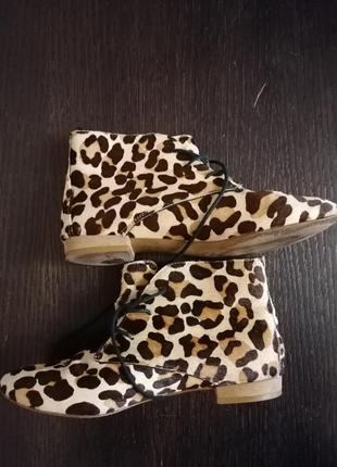 Леопардовые ботинки  zara 39 размер #розвантажуюсь3 фото
