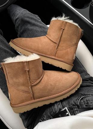 Уггі угги уги Bluzy ugg mini chestnut zip