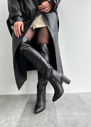 Ботфорти жіночі