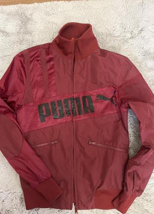Ветровка puma