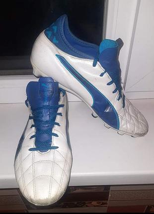 Puma evo cheap touch 3