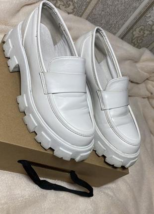 Лофери білі