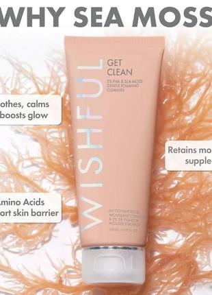 Нежная очищающая пенка wishful get clean gentle foaming cleanse6 фото