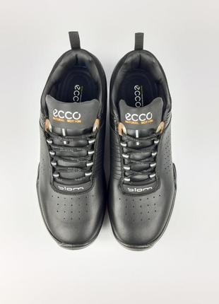 Ecco biom4 фото