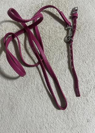 Ошейник и поводок