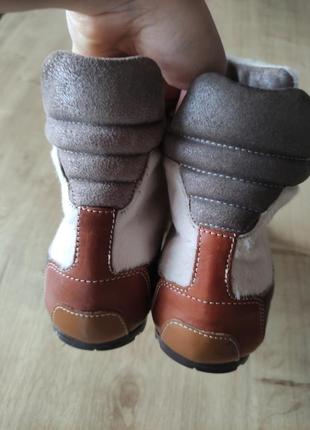 Шикарныe женские кожаные ботинки candice cooper, италия. размер 39.4 фото