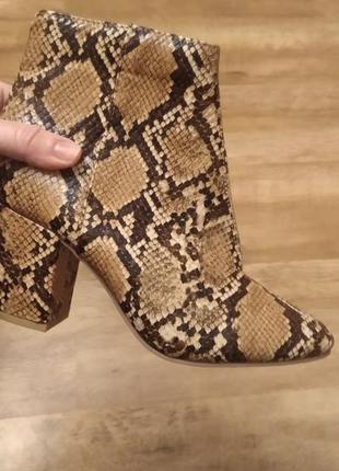 Ботінки сапожки.