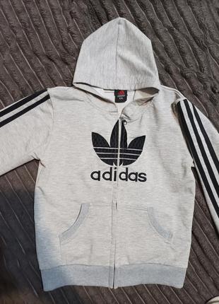 Фирменная кофта adidas